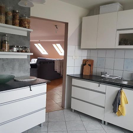 Wczasowisko Karola Apartment Lubomierz  ภายนอก รูปภาพ