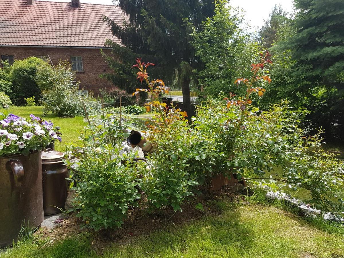 Wczasowisko Karola Apartment Lubomierz  ภายนอก รูปภาพ